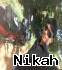 Mohamedhanas